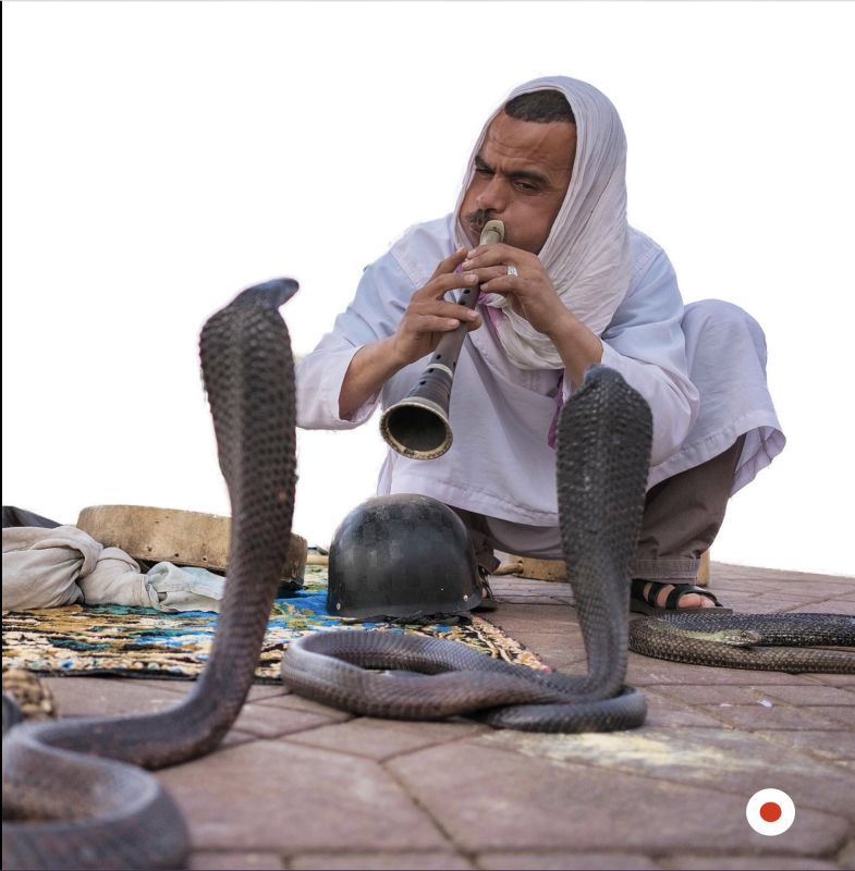 Reddot visits an Indian Snake  Charmer by Bill Walker